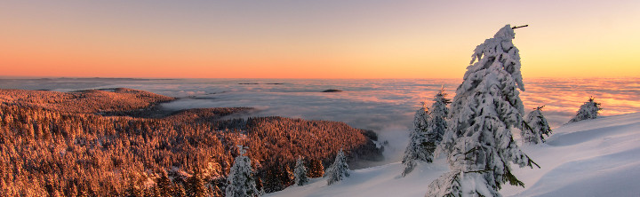 Ferienhaus Schwarzwald