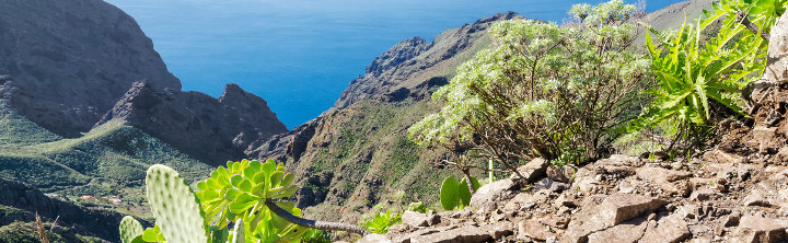 La Gomera Pauschalreisen für jedes Budget, inkl. Flug!