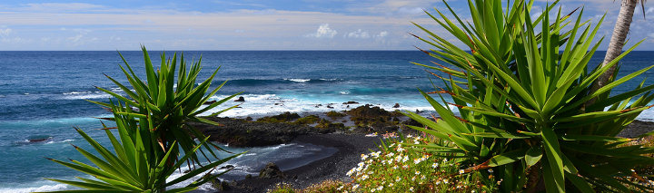 Last Minute Puerto de la Cruz